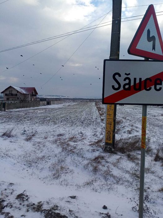 Teren Intravilan in Saucesti la Principala cu toate Utilitatile. Propietar 0% comision (oportunitate rara)