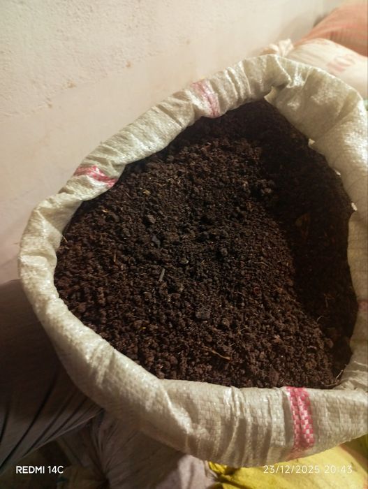 Биогомс и  чуалчанг