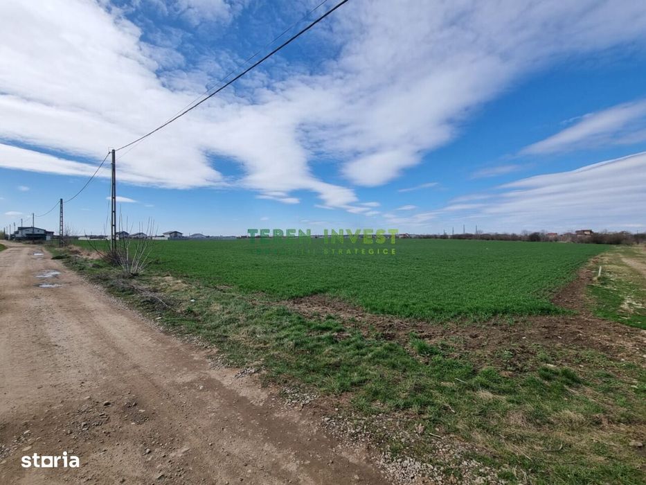 Vânzare Teren 22.000 Mp Puz Aprobat - Balotești