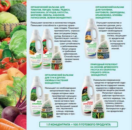 Бальзам Для Розы, Хризантемы, Пионов