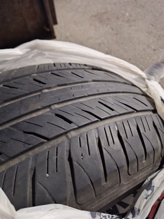 Продам летние шины Dunlop