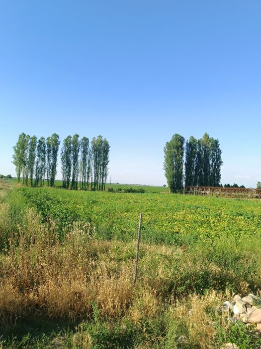 Участка ер майдон 15 соток