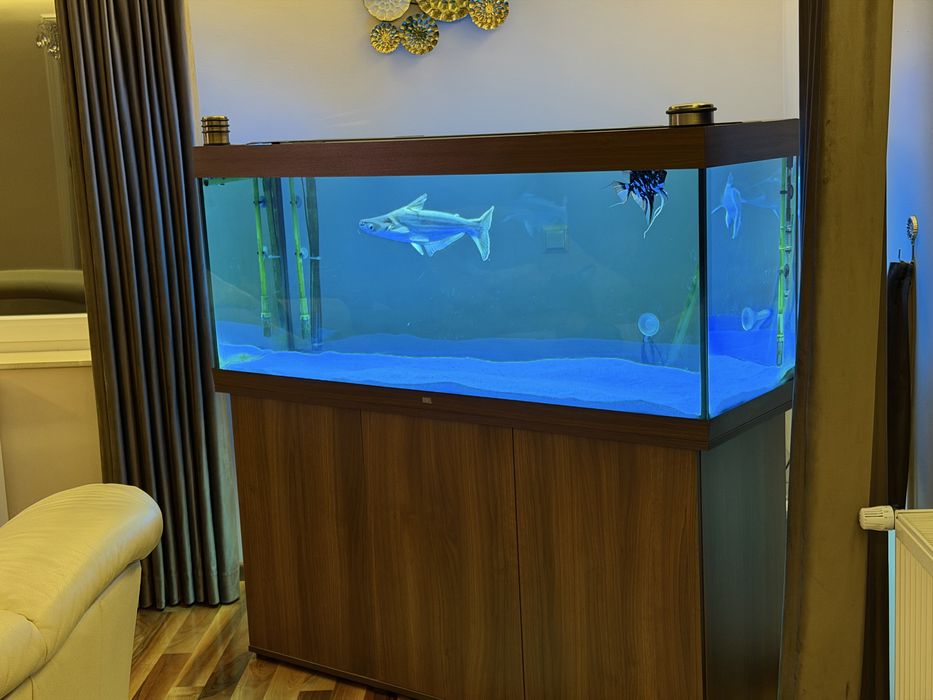 Acvariu Juwel led rio 450 maro