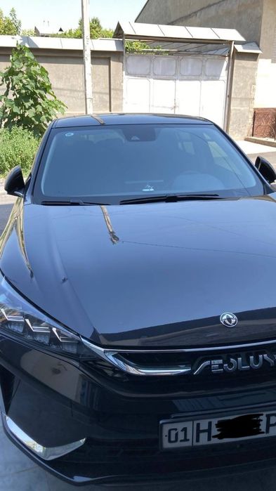 Dongfeng  2022 — 3