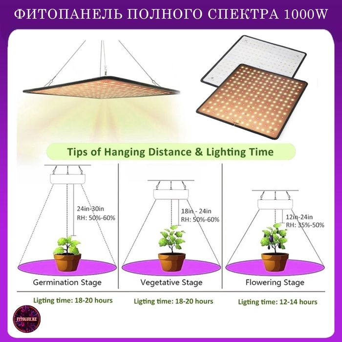 Расстояние от фитолампы до рассады. Лампа 10 и 20 ват для растений. Фитолампа 10 ватт для растений. Расстояние от фитолампы до рассады. Фитолампа для растений 10вт площадь.