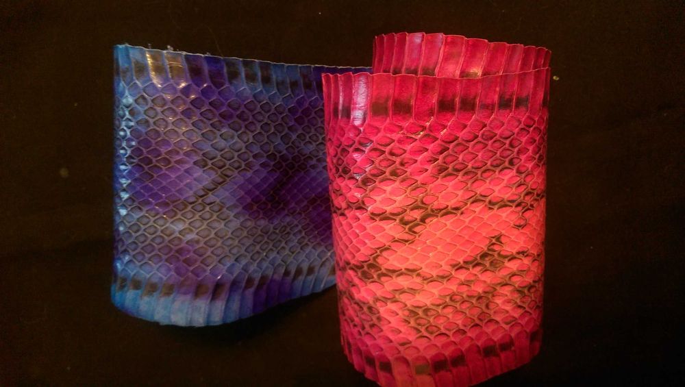 Змеиная кожа крашеная (куски) для поделок