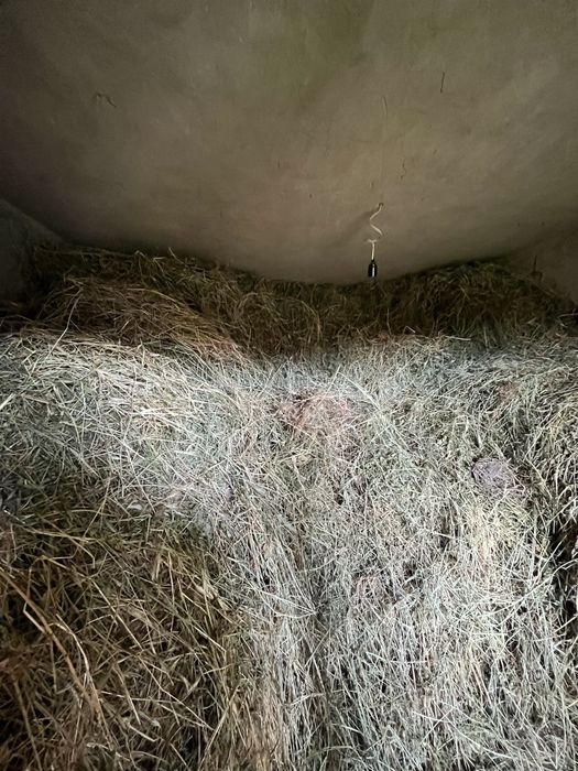 Продам сено для скота