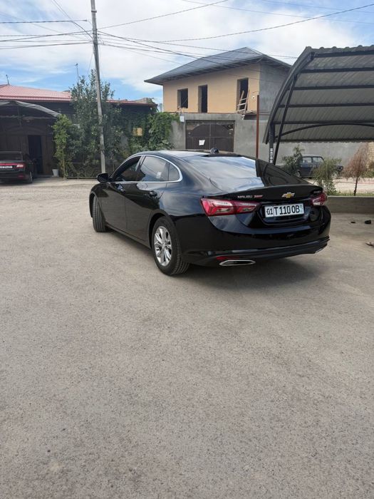 Malibu2  premier