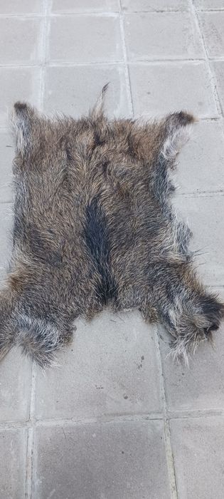 Кожа от диво прасе