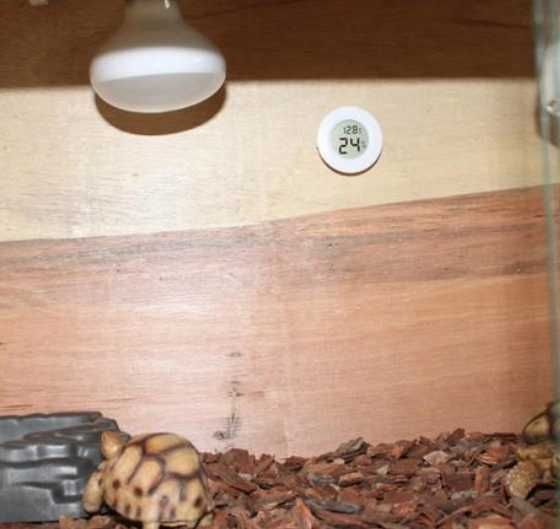 Гигрометр (термометр,влагомер) внутренний датчик.