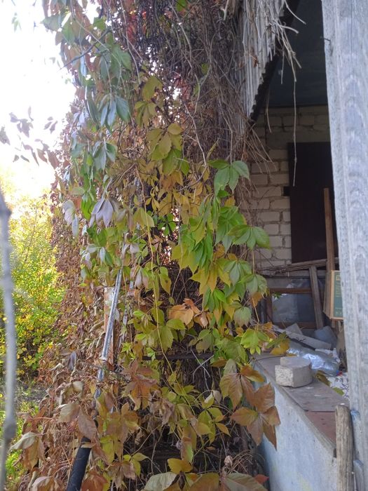 Продам дачу с/о "Веснянка"