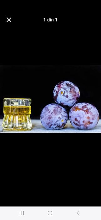 Vând prune de țuică – Calitate excelentă, preț avantajos