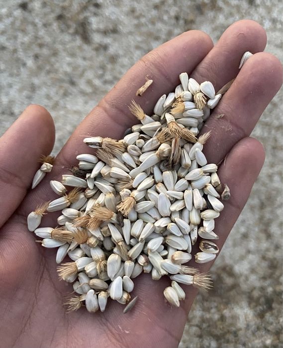 Жем корм. .: 45 000 тг. - Корма для сельхоз животных Уральск на Olx