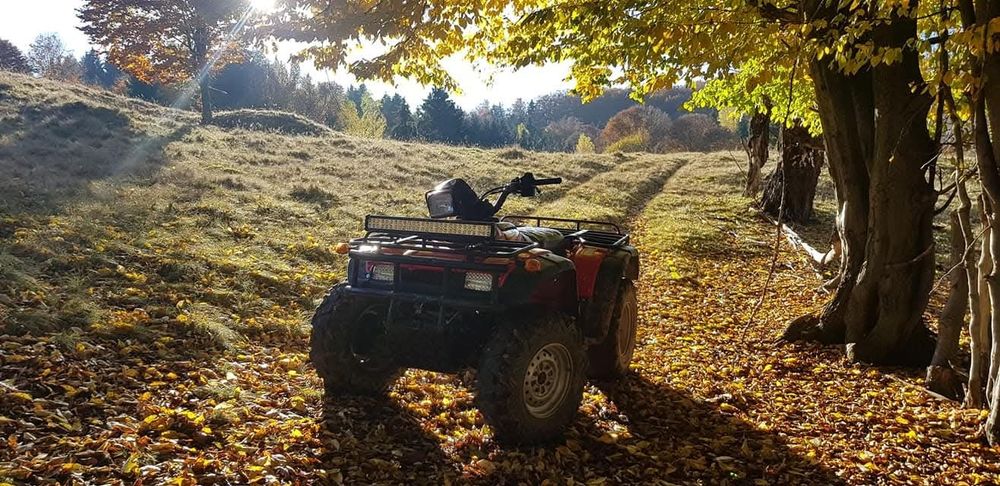 Honda Foreman TRX 450