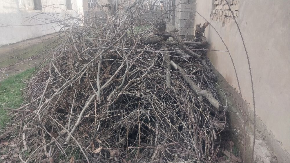 Отын - 1 прицеп Дров