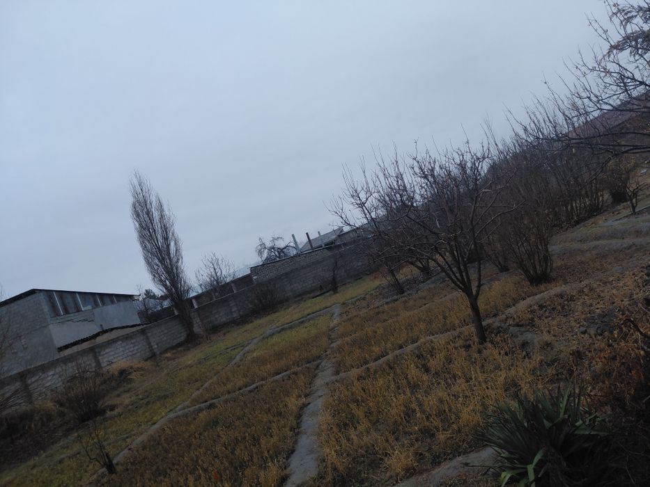 Uy JOY SOTILADI Srochnaaaaa!!!