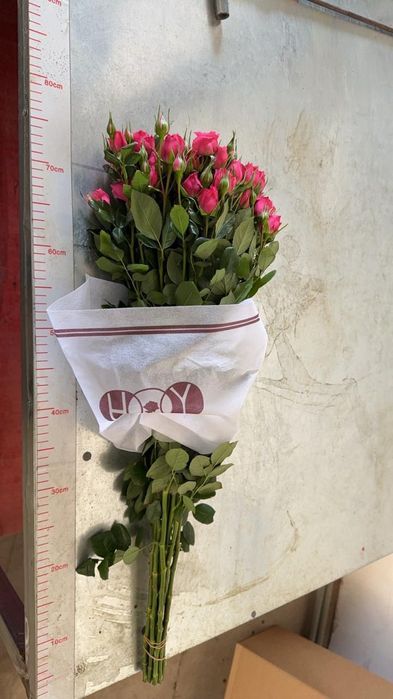 Розы оптом 450тг