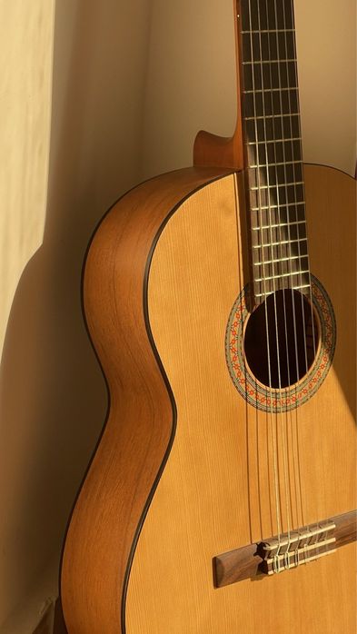 Репетитор по фортепиано и гитаре