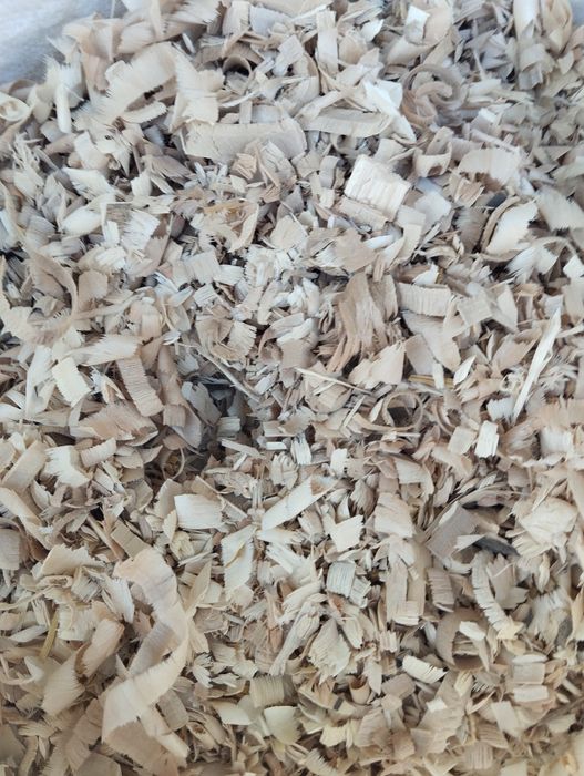 Апилка мол куй ва паррандалар учун