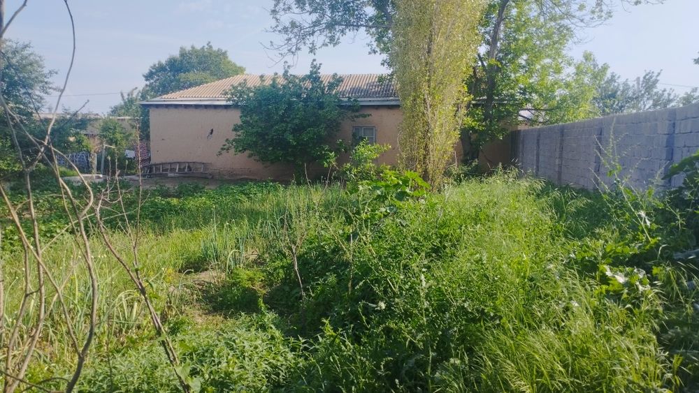 Yer uchastkasi sotiladi