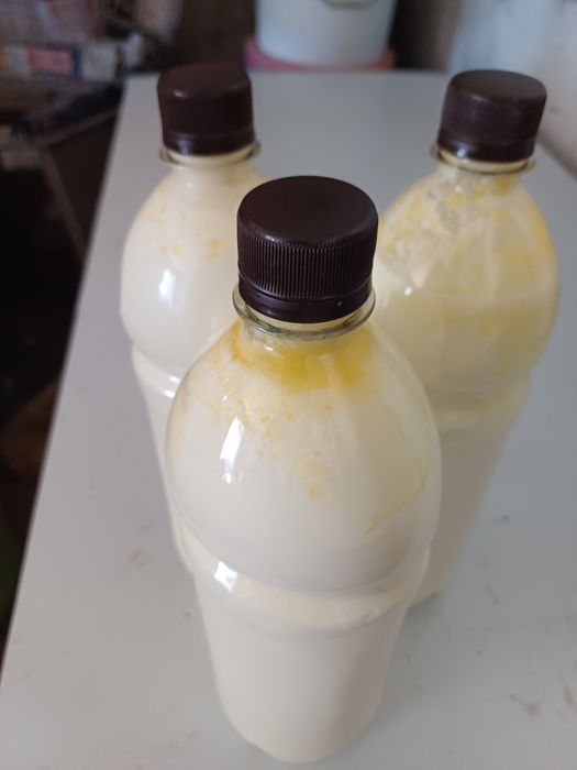 Продаём молоко домашнее