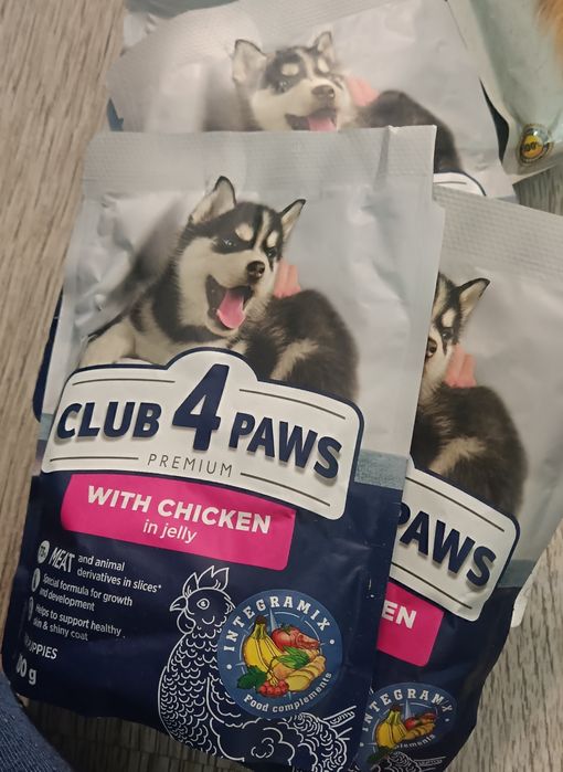 Корм для собак влажный