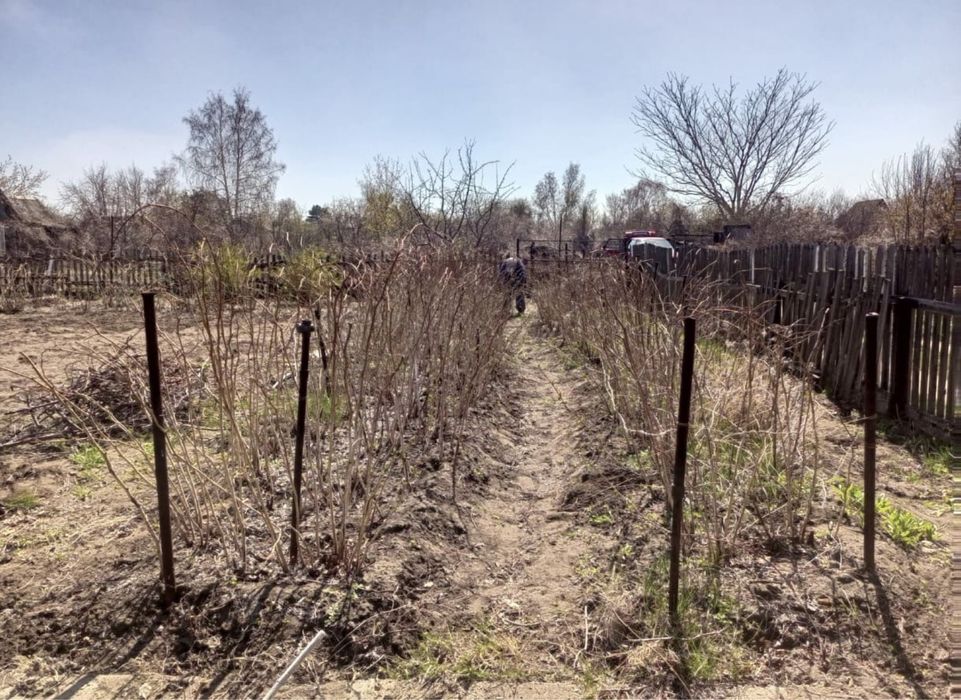 Дача Здоровья с домиком