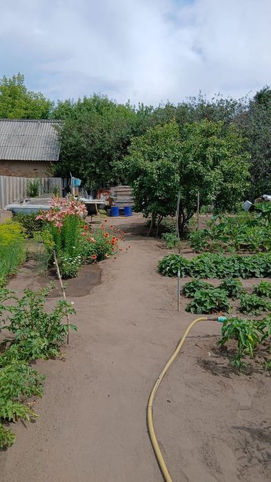 Продаётся дача Здоровье