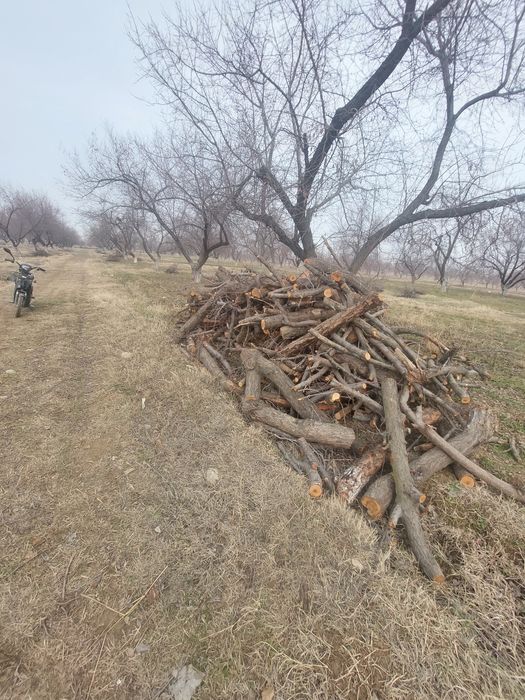 Otin sotiladi fargona