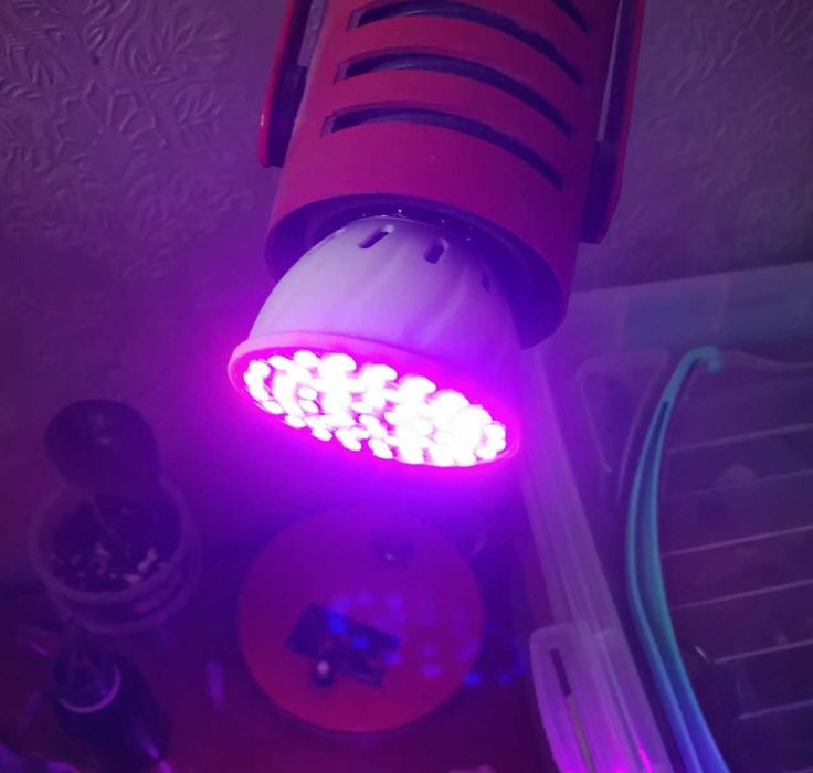 Подсветка для комнатных цветов