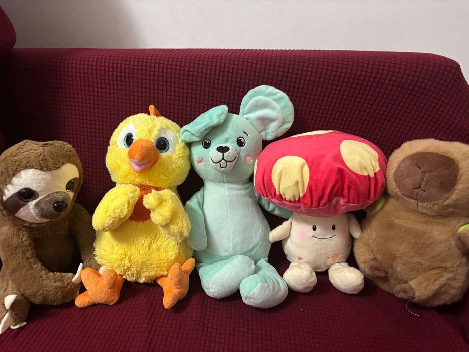 Lot de peste 50 de plusuri