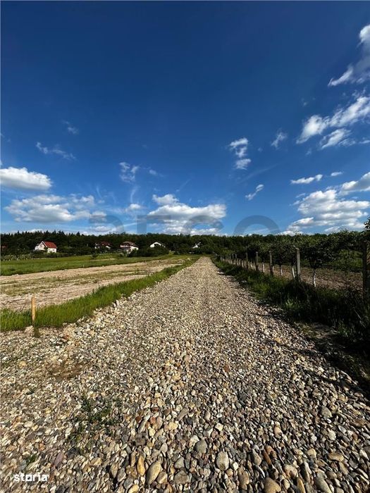RECO Teren Intravilan, Alparea, Comuna Osorhei