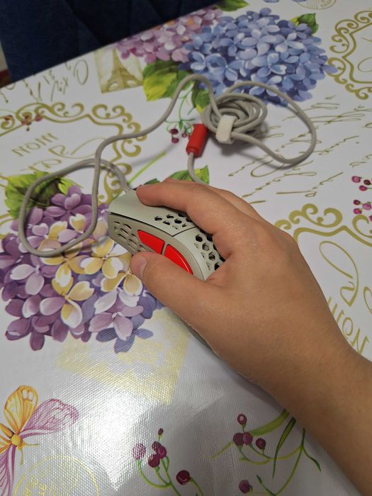 Мышка для компьютера