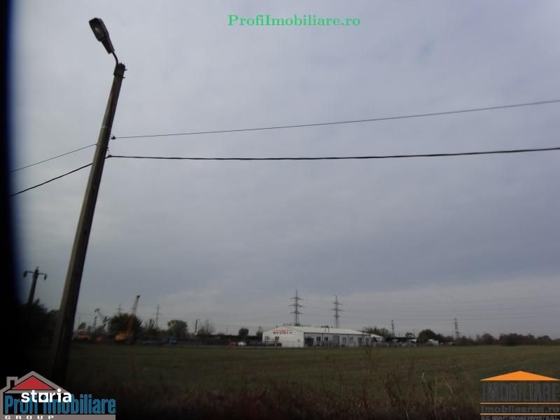 Teren 5.000 mp pentru diverse activitati cu acces din sosea strada Ovi