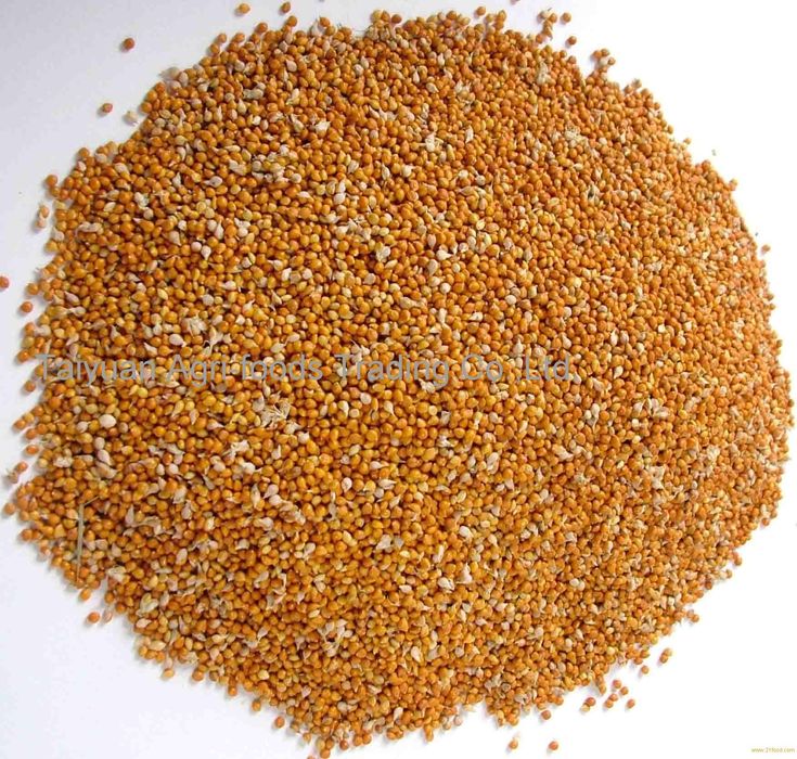 Попугай волнистые сатылады