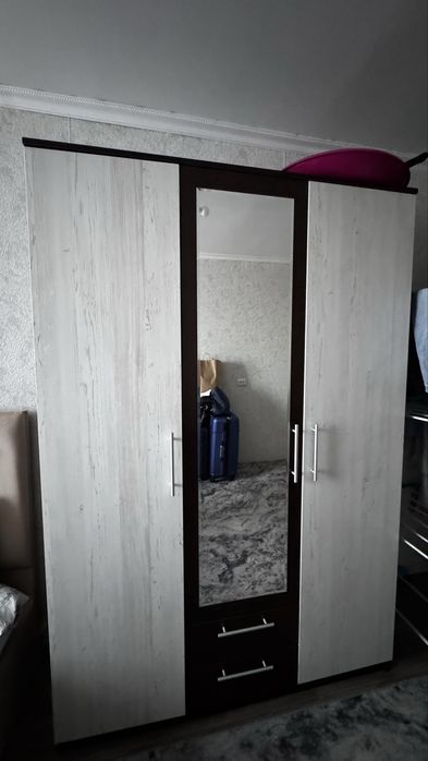 Шкаф распашной с зеркалом