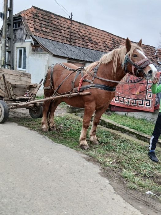 1111111111111111111111111111