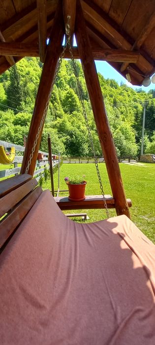 Casa / Cabana Vacanta Rucar