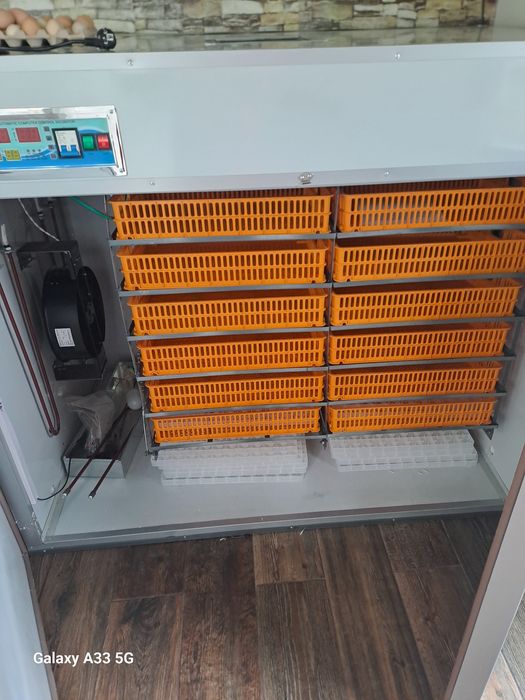 Incubator pentru 2100 ouă