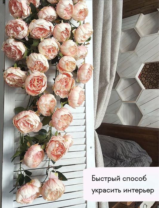 Шикарные  пионы лиана