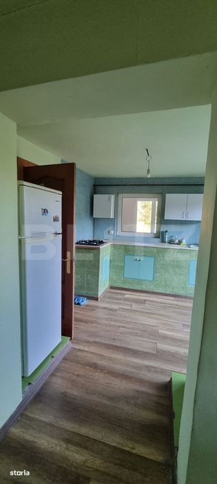 Casa de vacanta