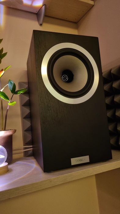 Tannoy dc6 revolution