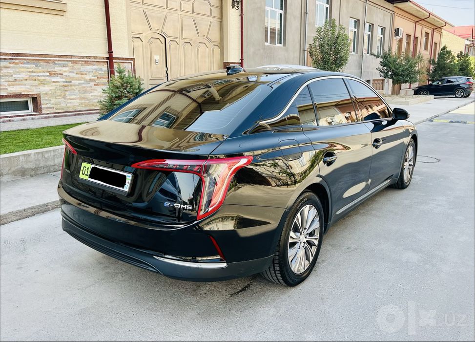 Hongqi E-QM5 450km Kraska Toza