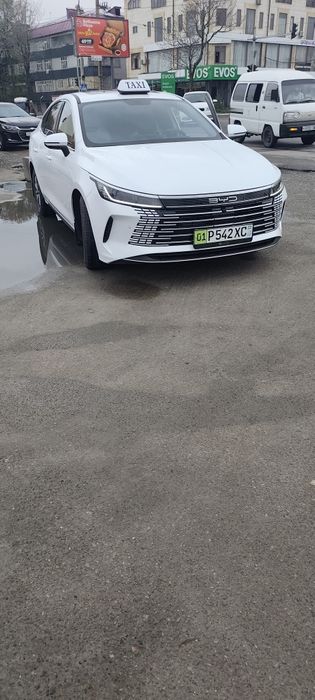 BYD Chazor 2025 — 2