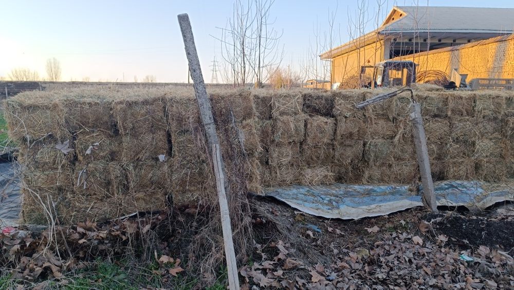 Pres sotiladi. O'tli mayin o'tdan qilingan