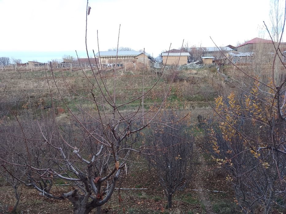 Yer sotiladi yaxshi narxda