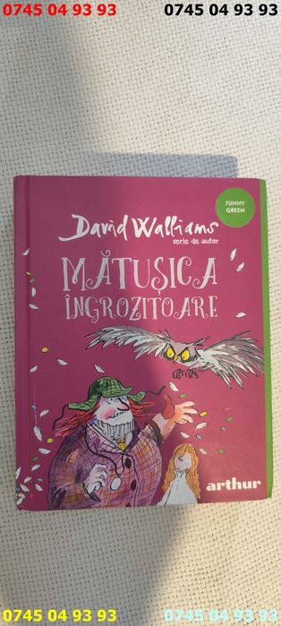 carte carti matusica ingrozitoare david Walliams