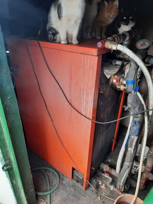 Vănd cazan termic Arca Turbogen