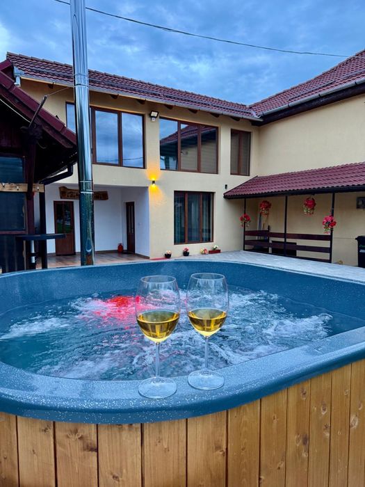 Cabană de închiriat/ Casă de vacanță AVI HOUSE Valea Avrigului.