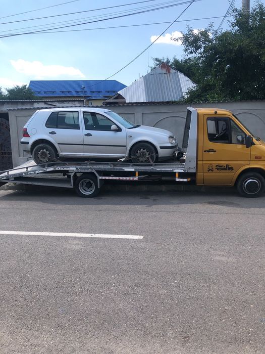 Colelctam rable auto